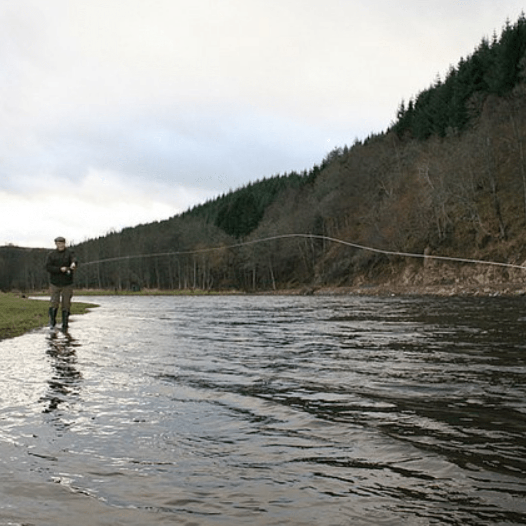 Experience the Thrill of Salmon Fishing in Scotland