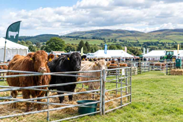 Full year calendar, farm show, agricultural show, scotland